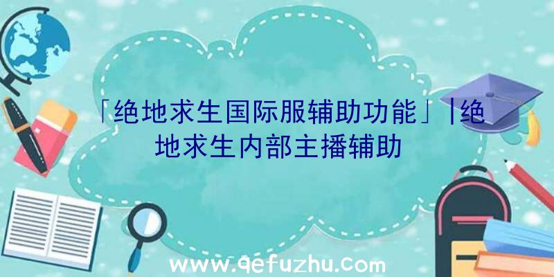 「绝地求生国际服辅助功能」|绝地求生内部主播辅助